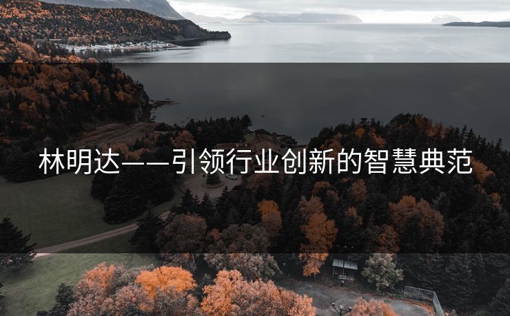 林明达——引领行业创新的智慧典范